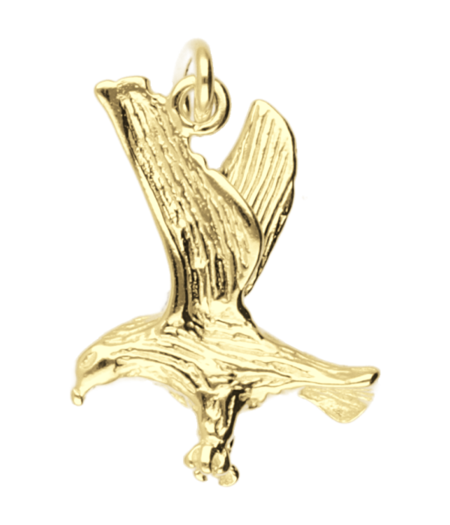 Gouden Adelaar ketting hanger, op voorraad - mooye-sieraden